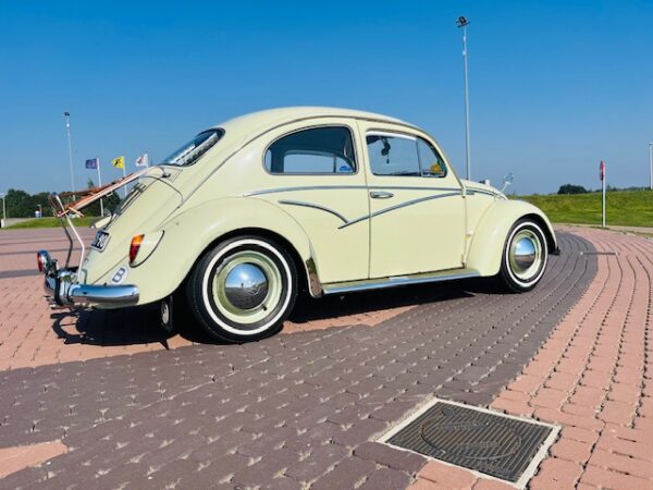 IMG_8967 Australian Flash Trim for Beetle ( Aussie flash trim )