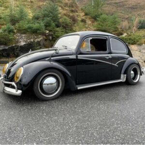 Australian Flash Trim for Beetle ( Aussie flash trim )