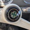 Clover Leaf Horn Push 🍀 Lucky 4 Leaf Clover 🍀